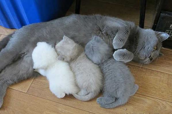 1625189229450626.jpg himg.jpg